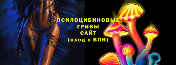 гидра Козельск
