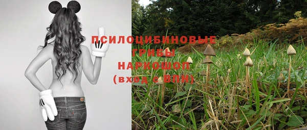 спиды Козловка