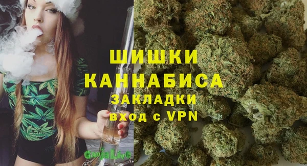 спиды Козловка