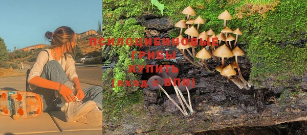 гидра Козельск